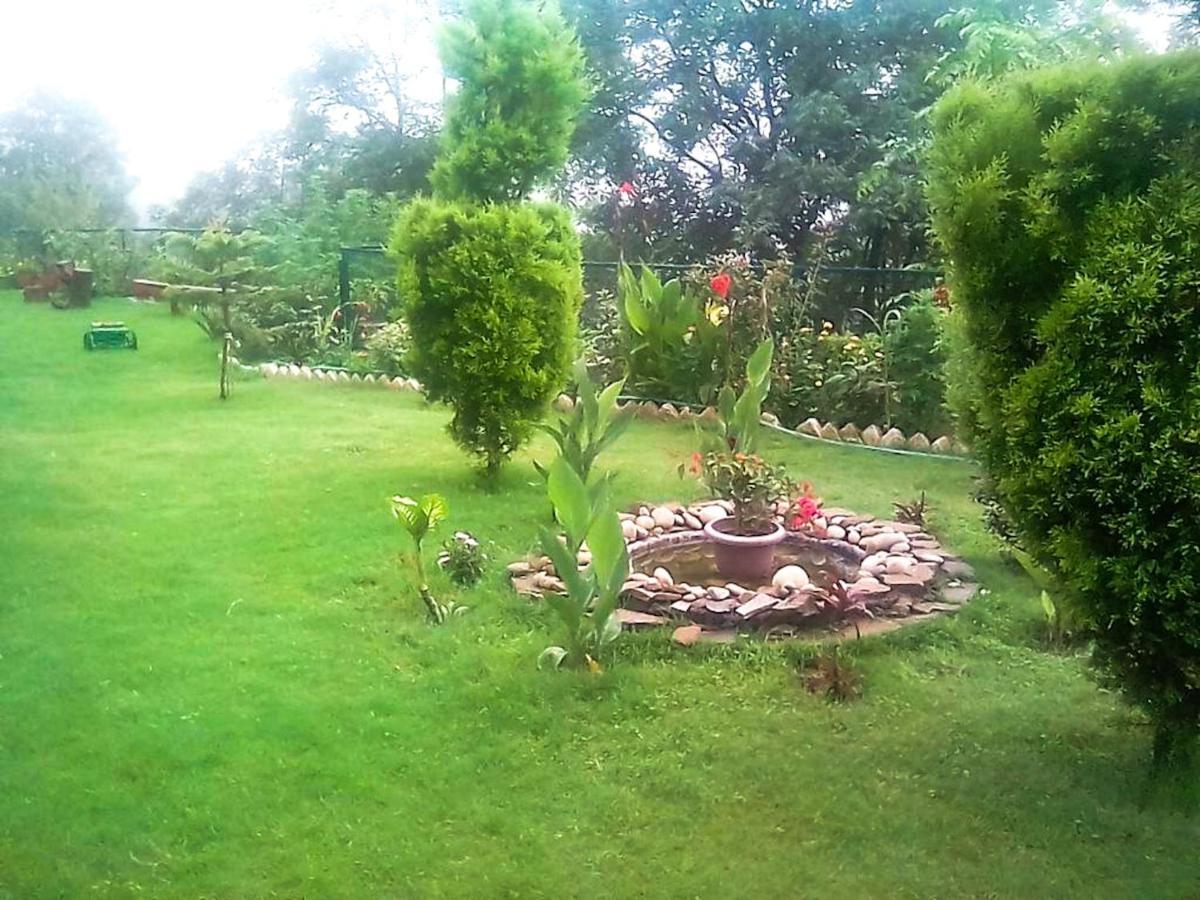 Wildleaf Kasauli Valley Homz住宿加早餐旅馆 外观 照片